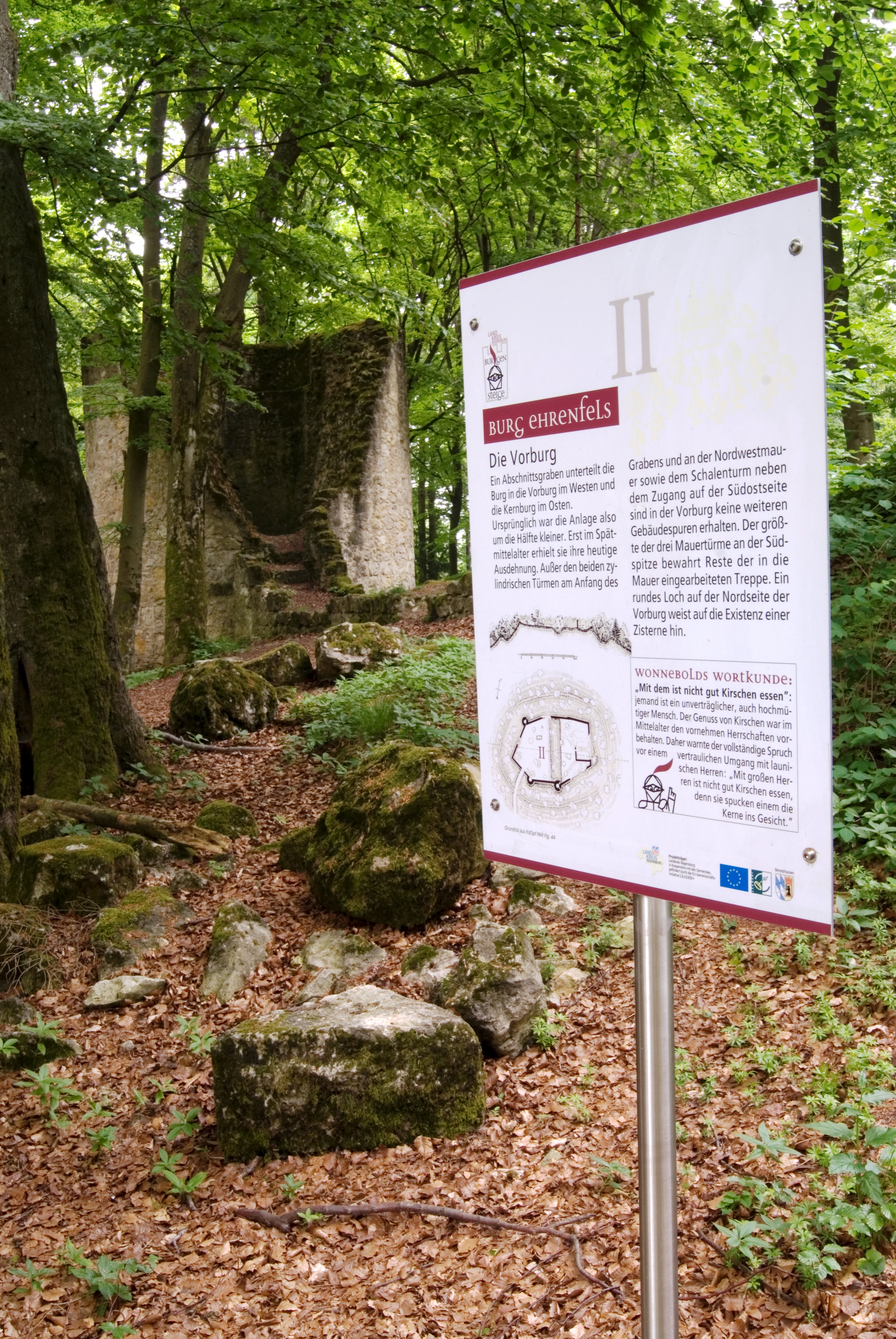 Burgruine Ehrenfels (2)