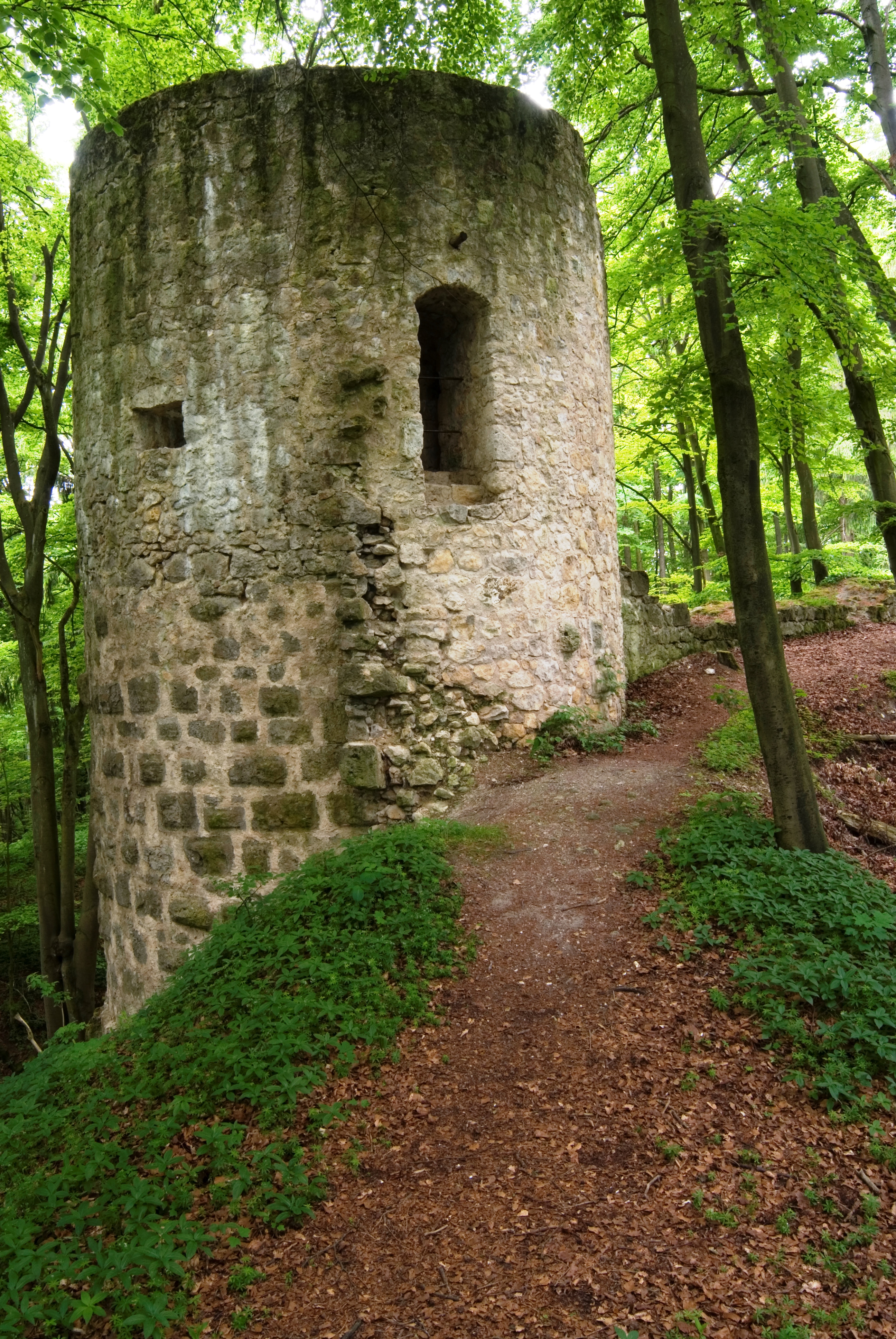 Burgruine Ehrenfels (3)