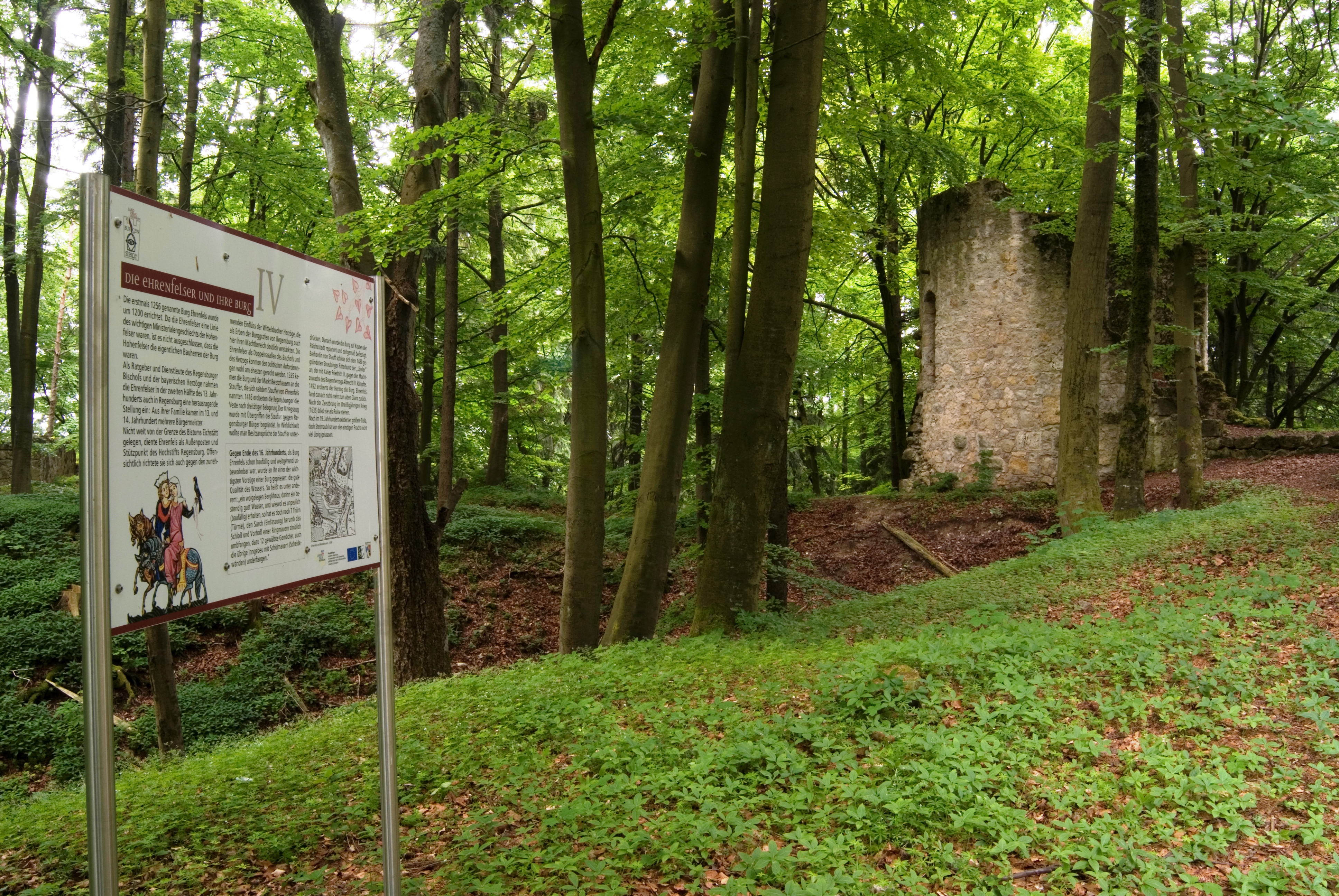 Burgruine Ehrenfels (4)