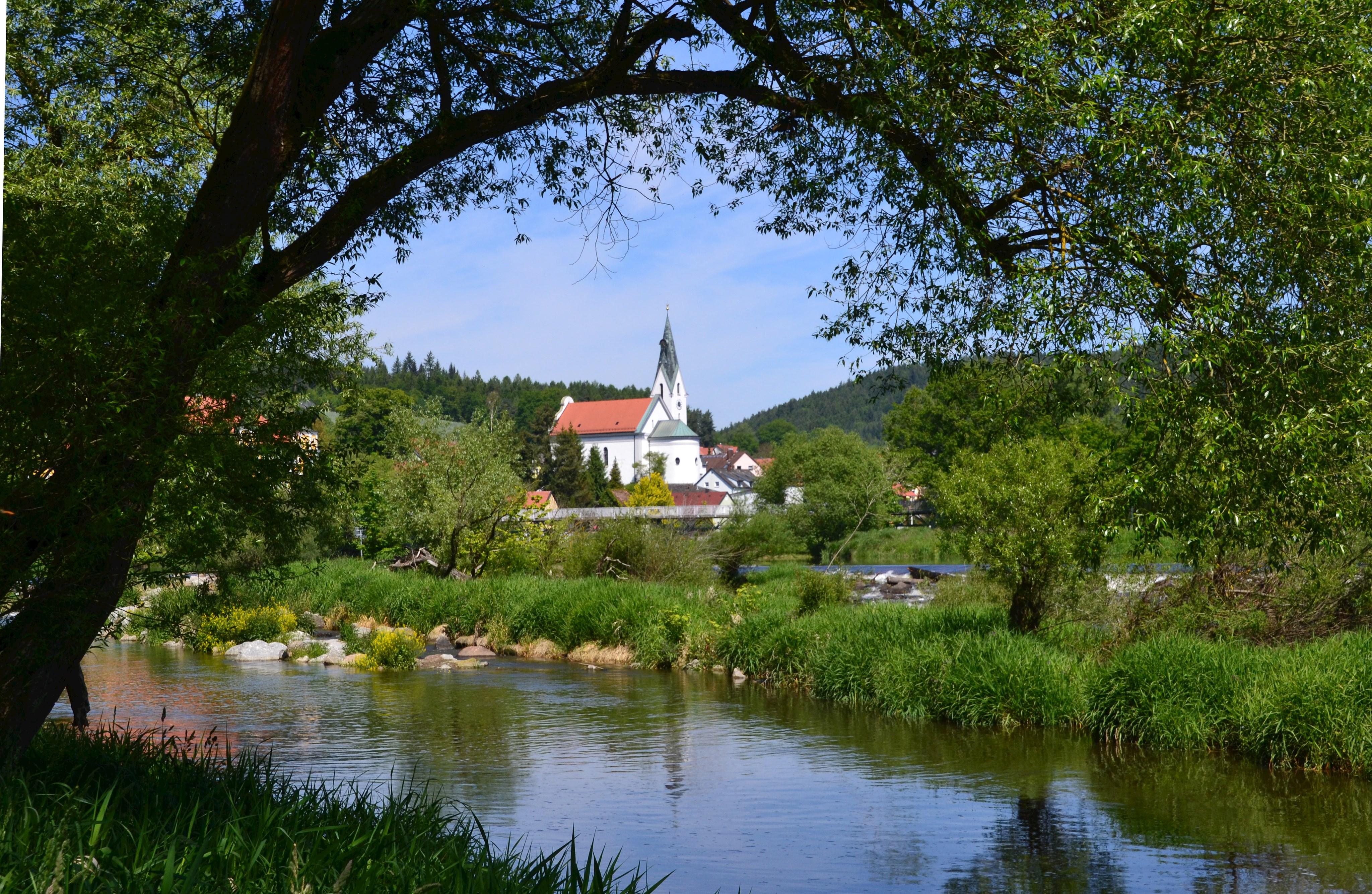 Ramspau mit Regen und Blätterdach im Vordergrund