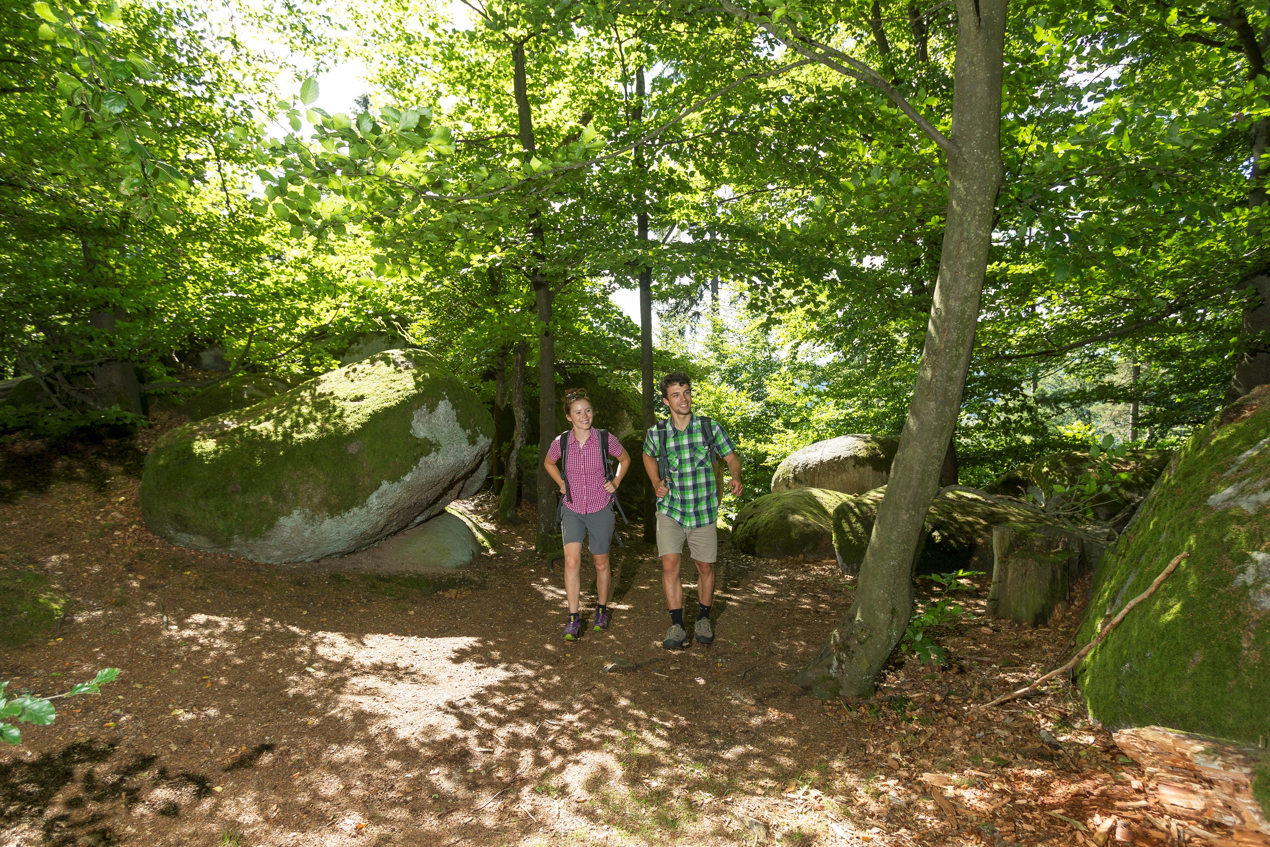 Wackelstein bei Heilinghausen (1)