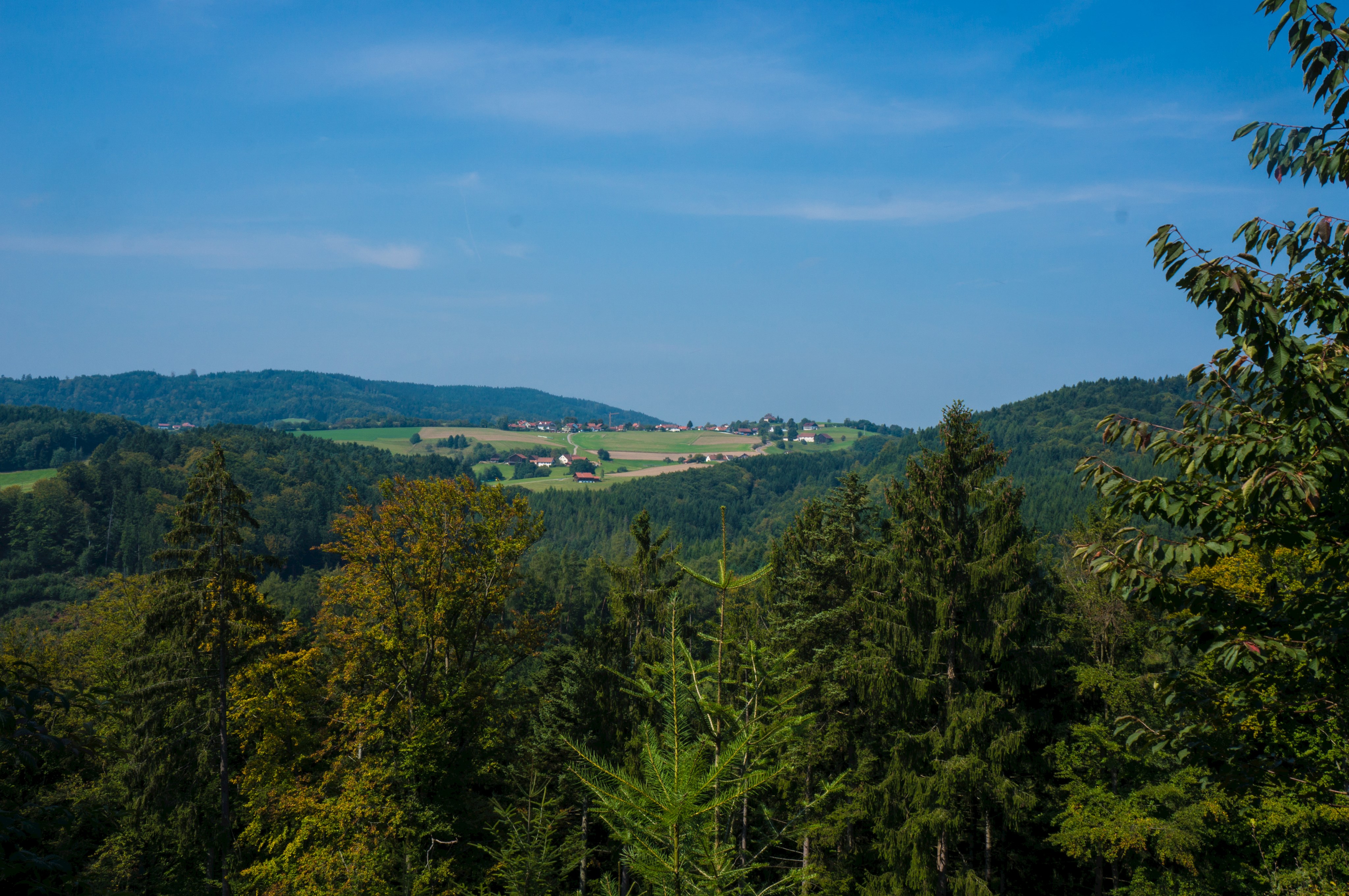 Bernhardswald aus der Ferne