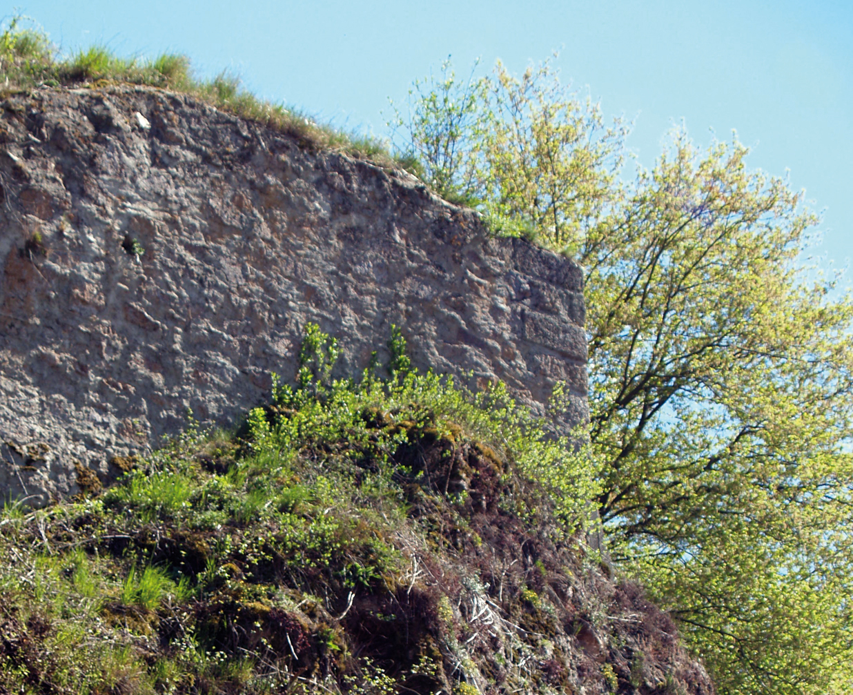 Oberlichtenwald