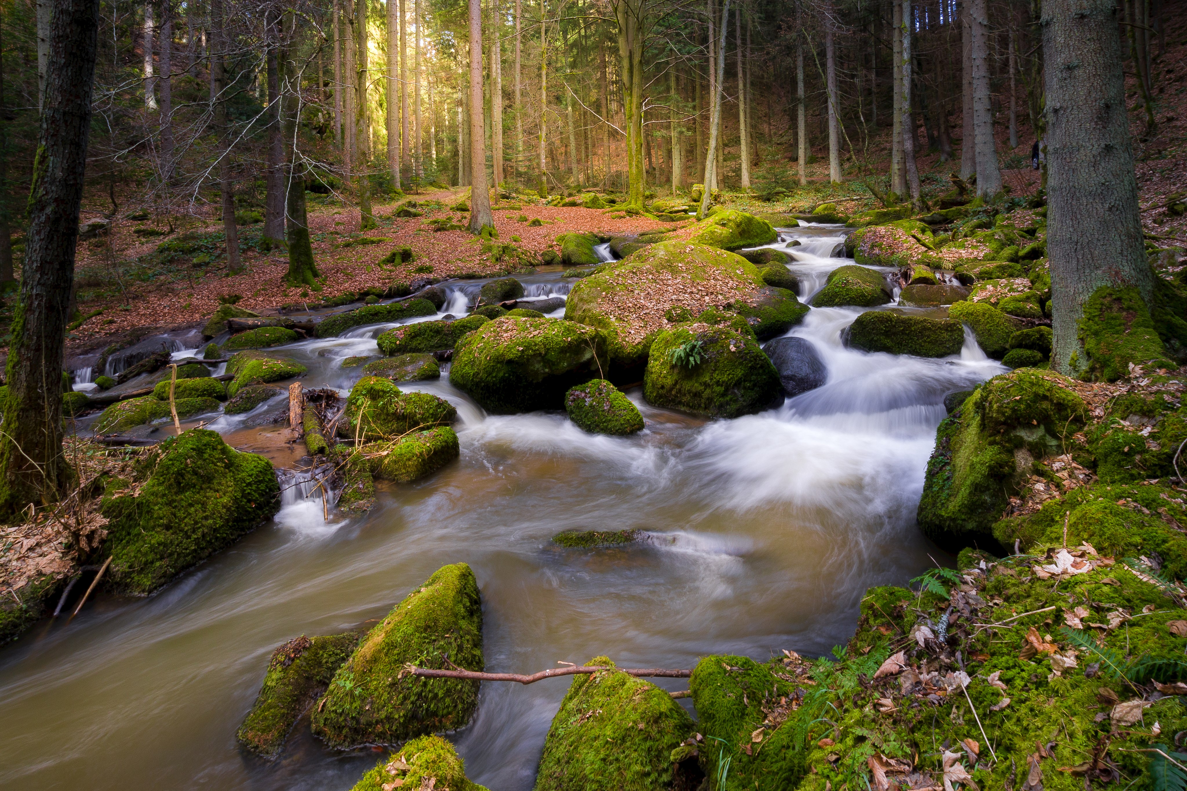 Otterbach bei Unterlichtenwald