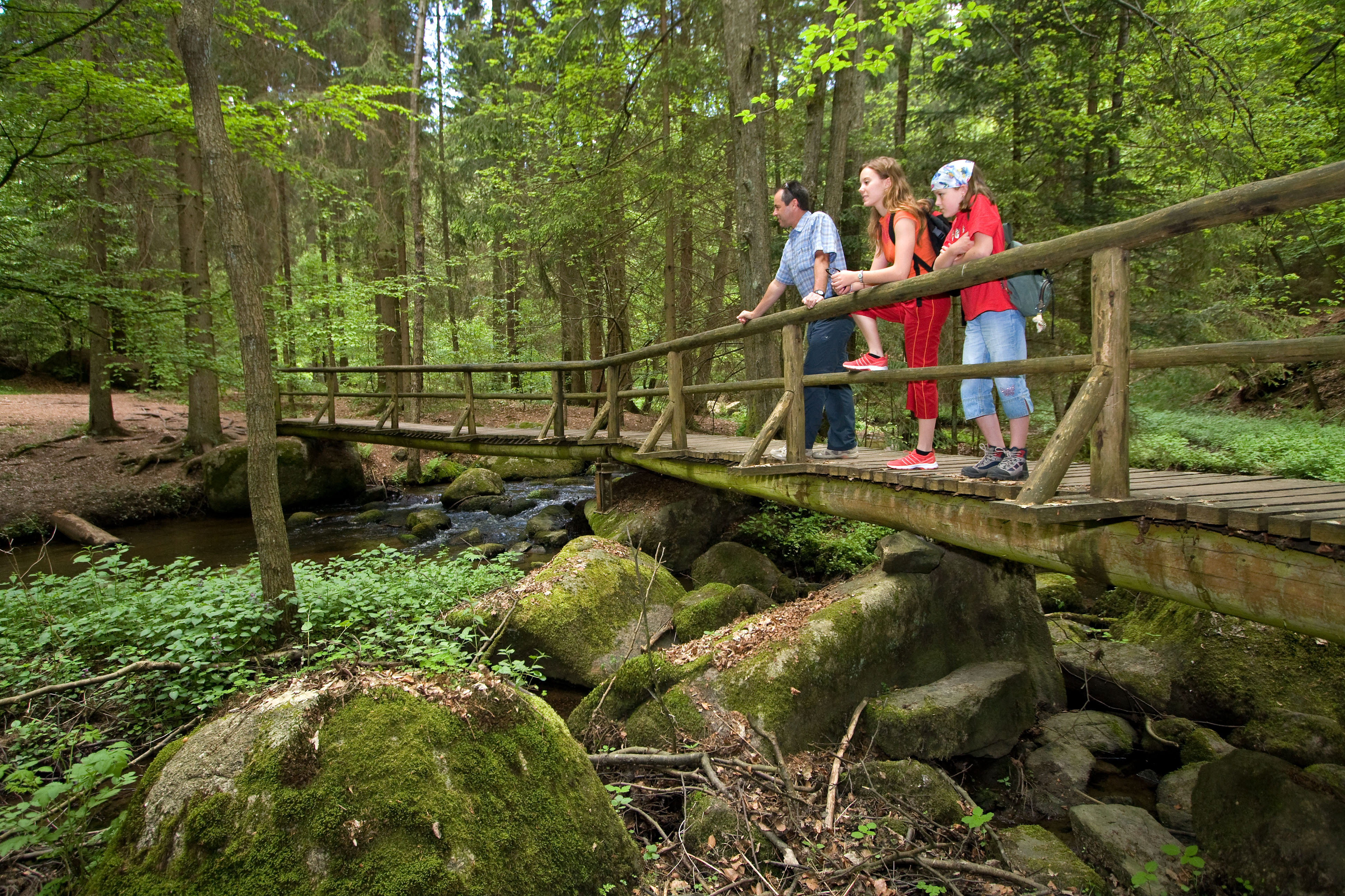 Wandern im Höllbachtal