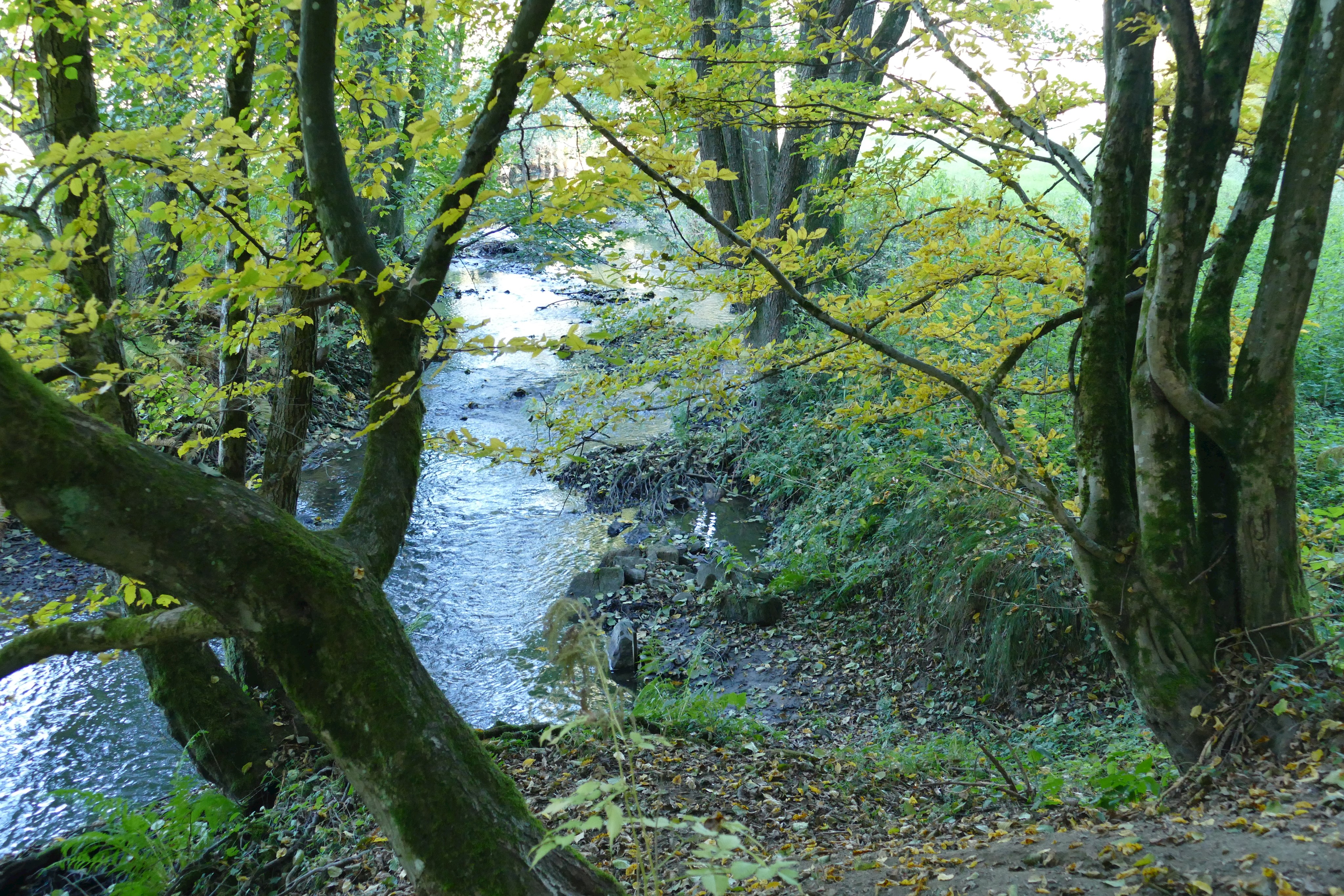 Höllbachtal Burgensteig Wiesent