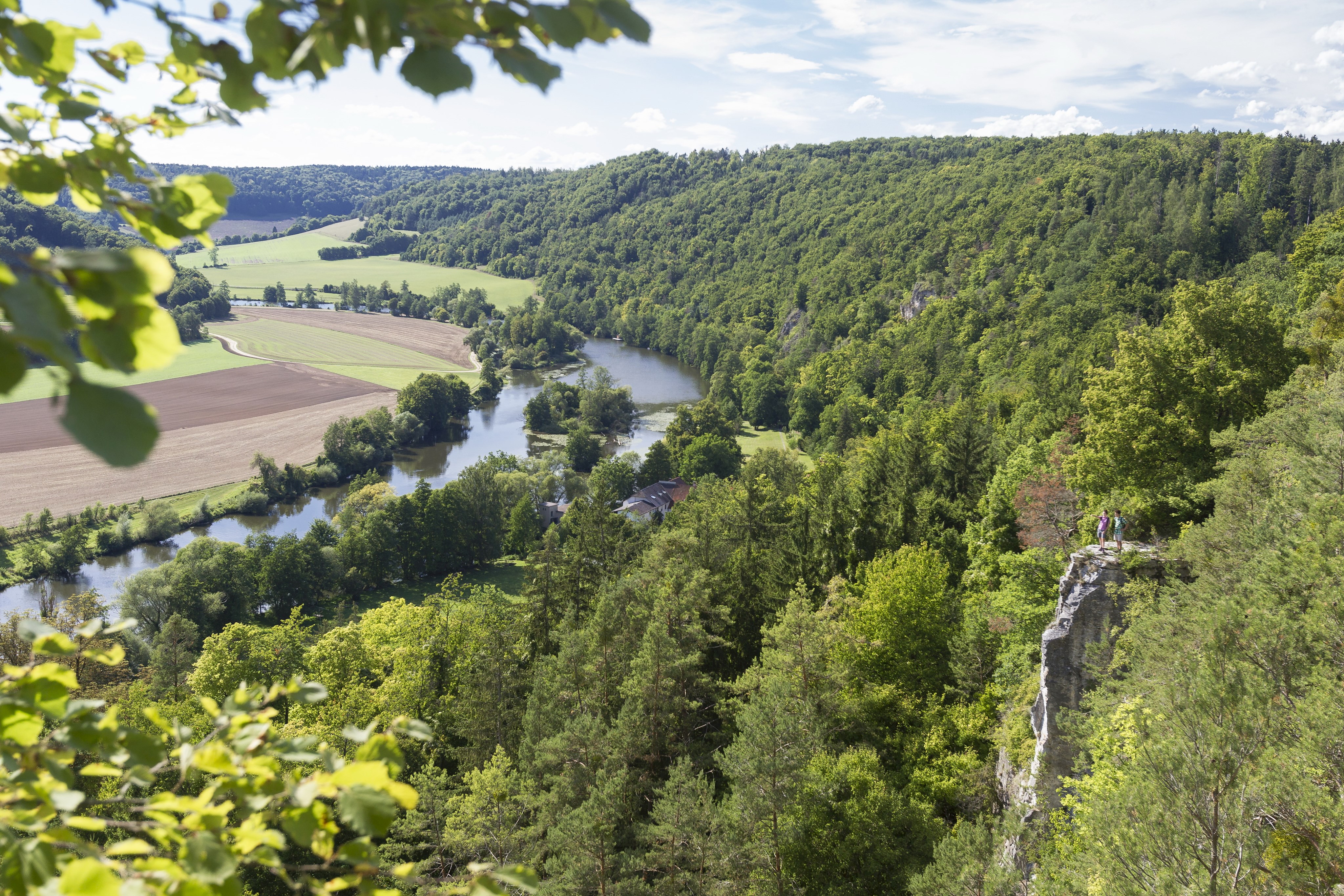 Naabtal bei Ebenwies