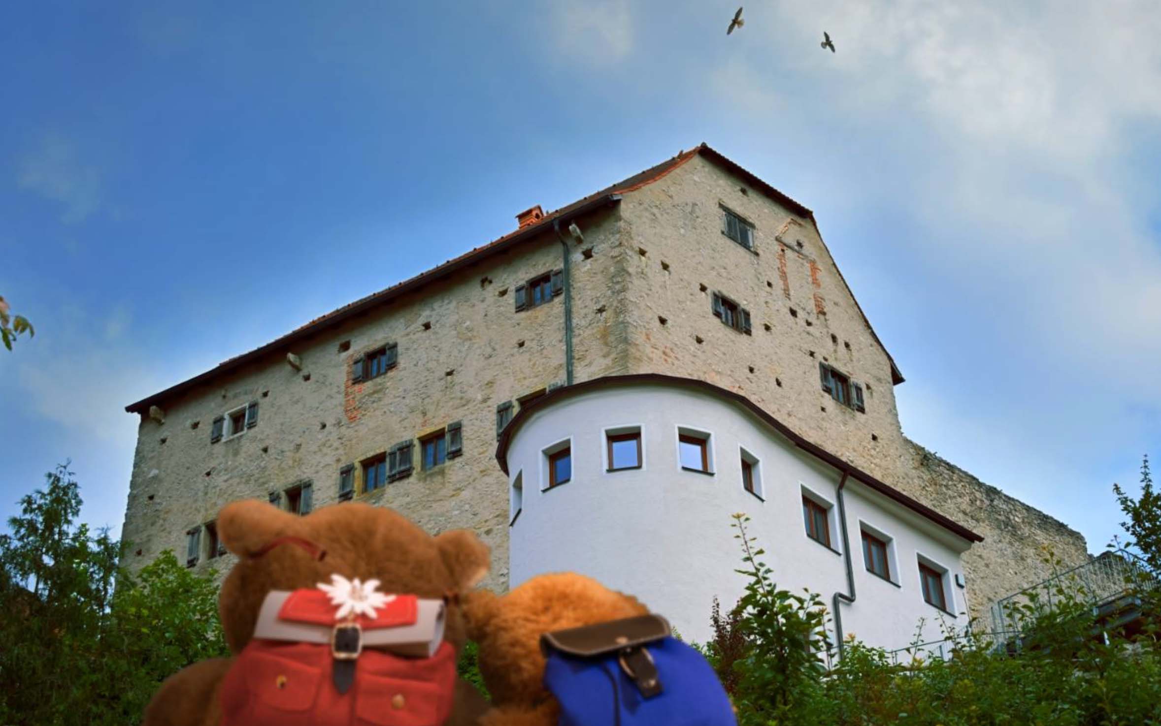 Der kleine Bär vor der Burg Wolfsegg